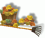 Leaf Collection
